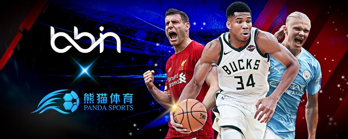 热爱与不懈